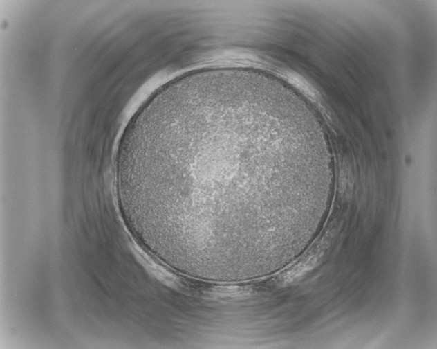 X0000060761478200511141218