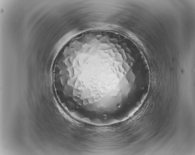 X0000060761479200511141218