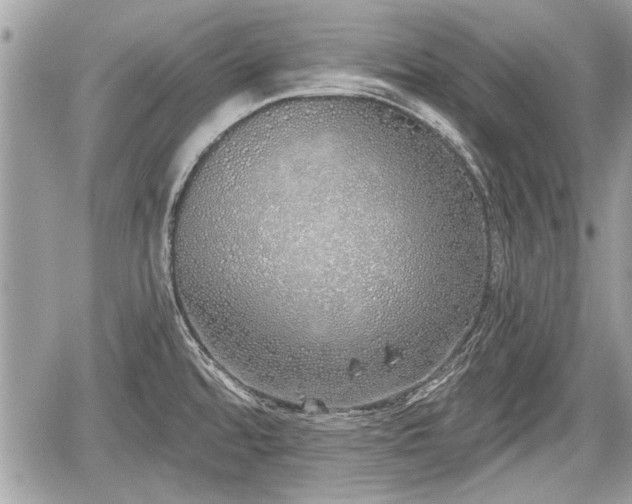 X0000060761480200511141218