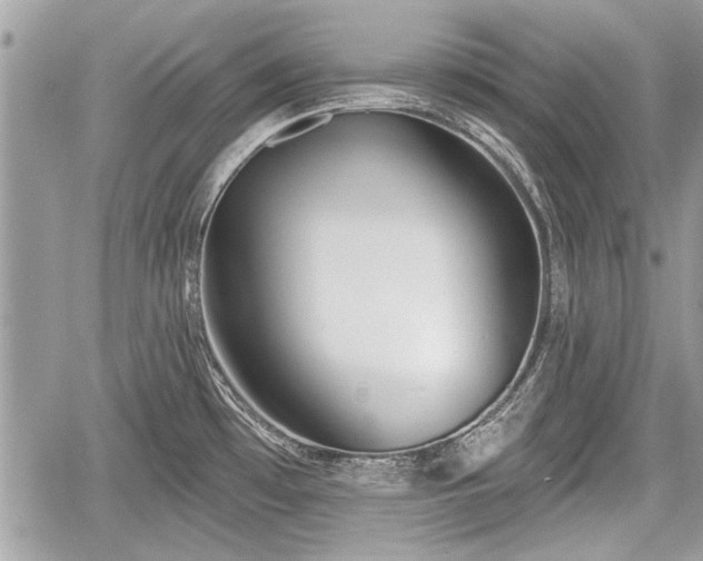 X0000060761481200511141218