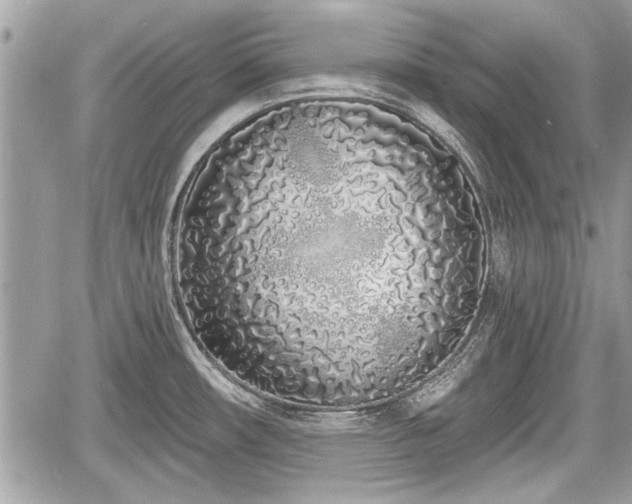 X0000060761482200511141218