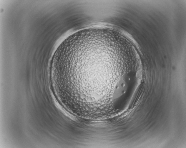 X0000060761483200511141218