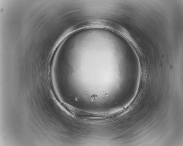 X0000060761484200511141218