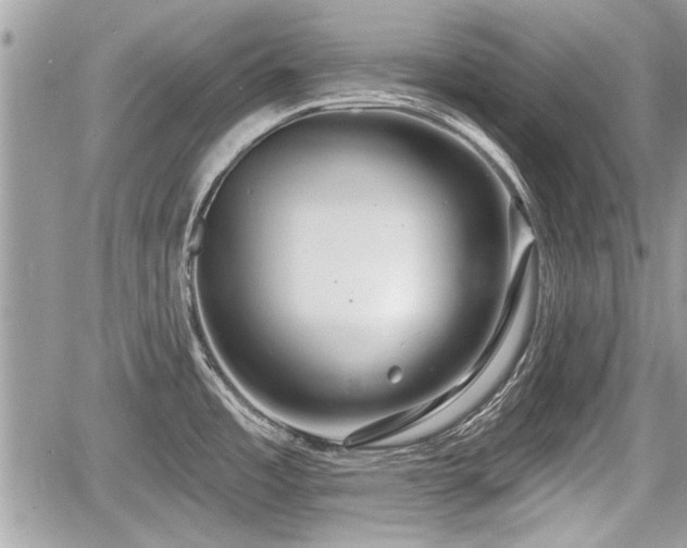 X0000060761485200511141218