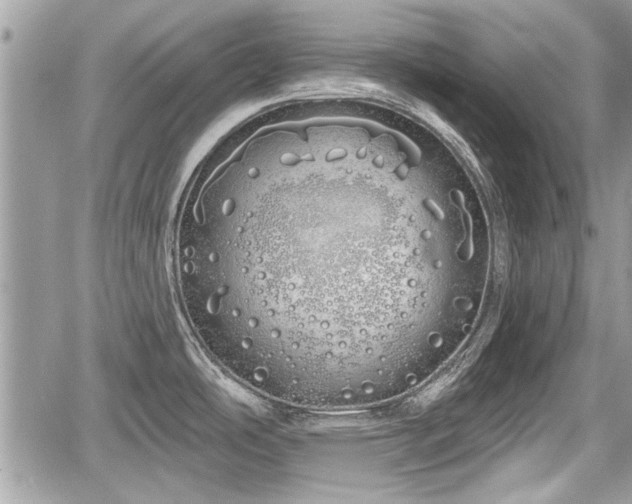 X0000060761486200511141218