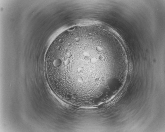 X0000060761487200511141218