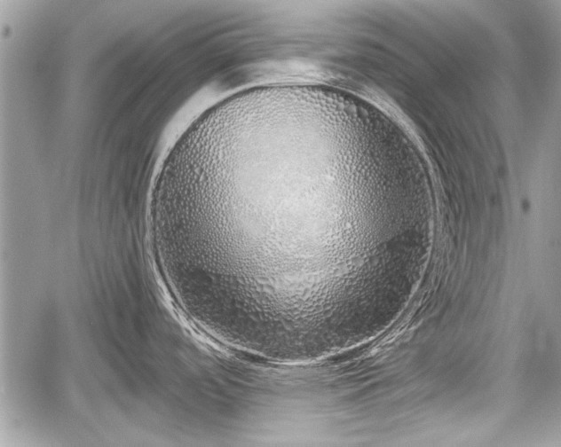 X0000060761488200511141218