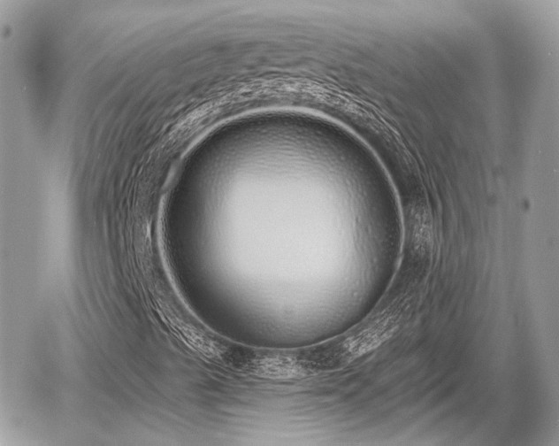 X0000060761489200511141217