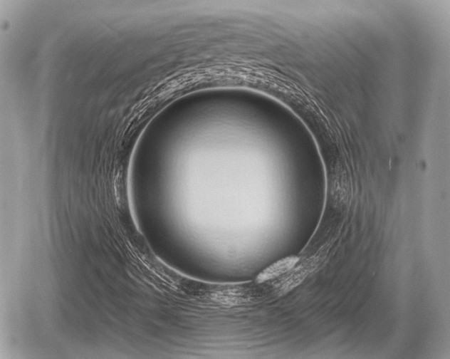 X0000060761490200511141217