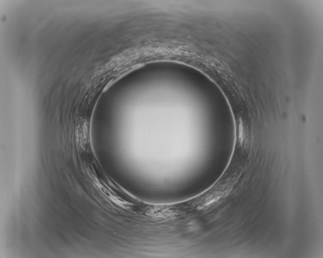 X0000060761492200511141217