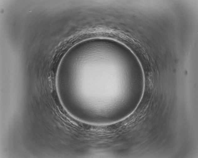 X0000060761493200511141217