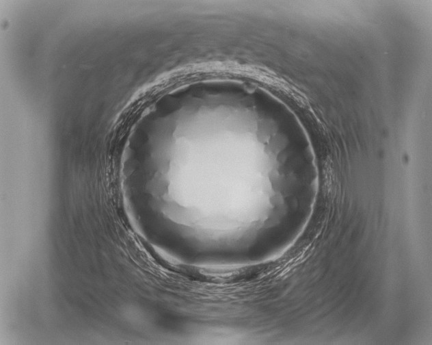 X0000060761494200511141217