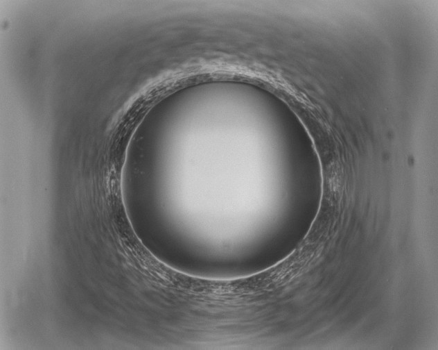 X0000060761495200511141217