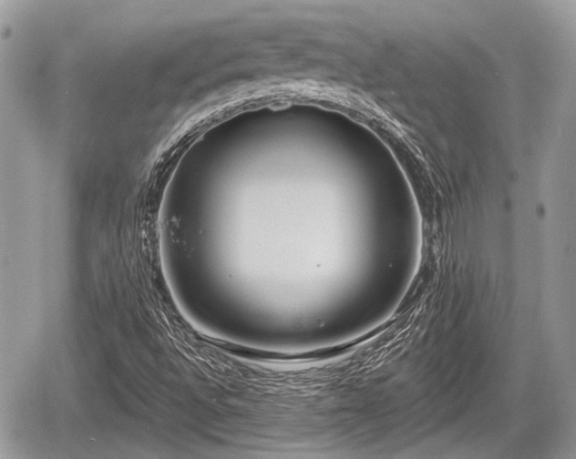 X0000060761496200511141217