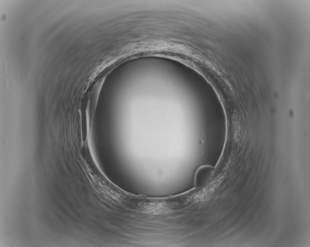 X0000060761497200511141217