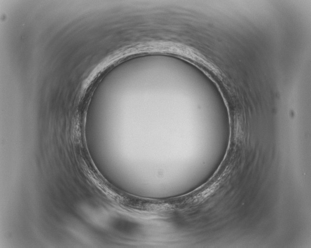 X0000060761498200511141217