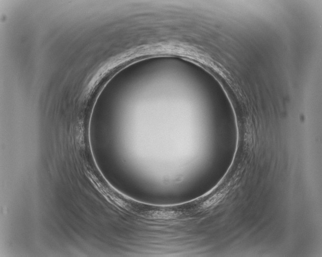 X0000060761499200511141217