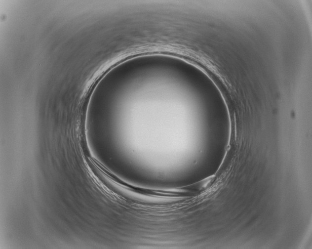 X0000060761500200511141217