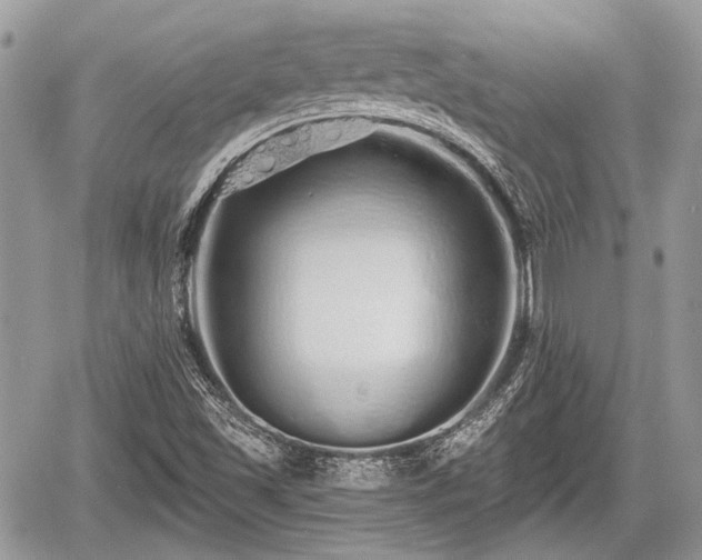 X0000060761501200511141217