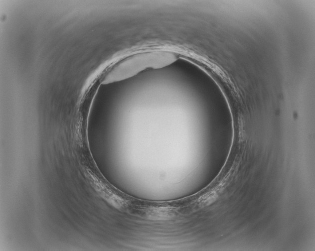 X0000060761502200511141217