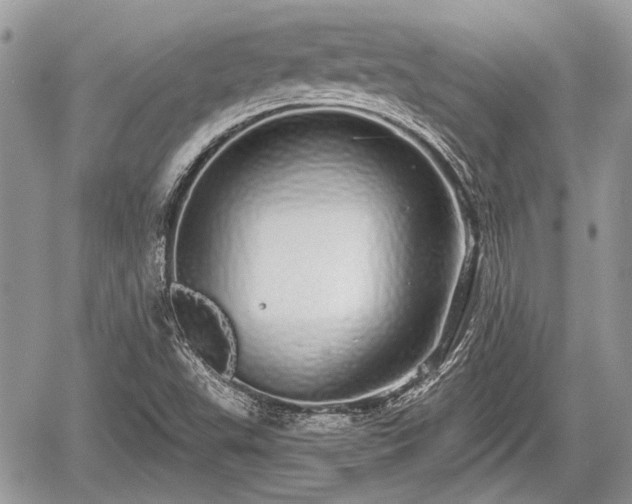 X0000060761503200511141217