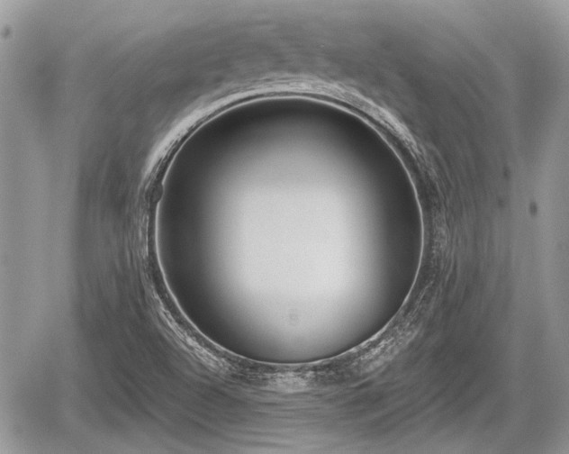 X0000060761504200511141217