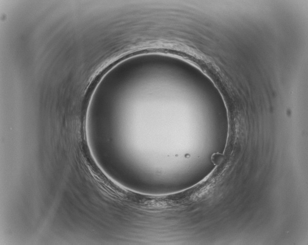 X0000060761505200511141217