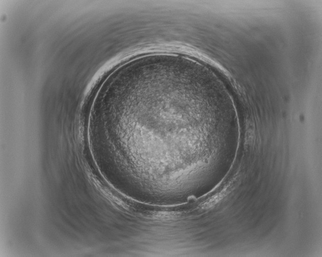 X0000060761506200511141217