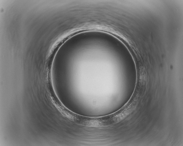 X0000060761507200511141217