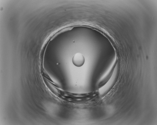 X0000060761508200511141217