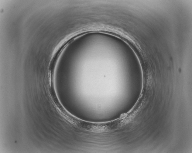 X0000060761509200511141217