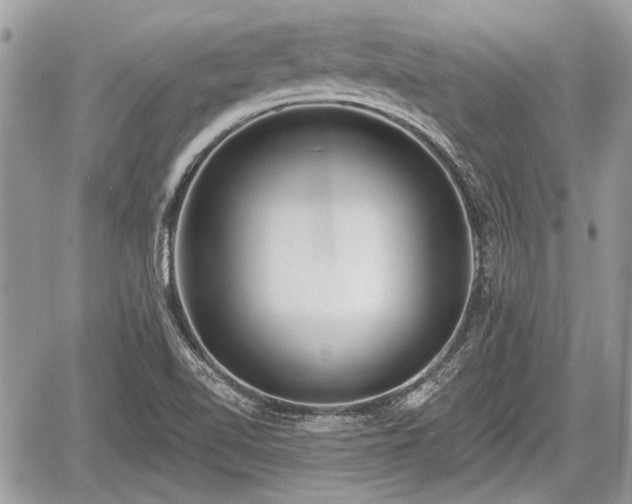 X0000060761510200511141217