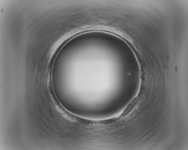 X0000060761511200511141217