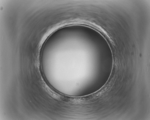 X0000060761512200511141217