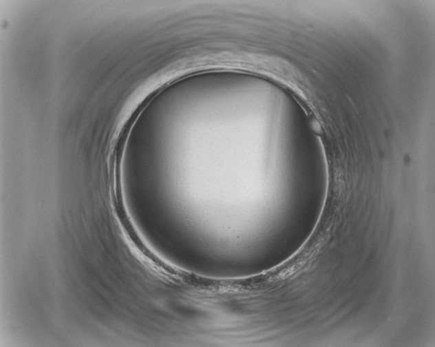 X0000060761515200511141217