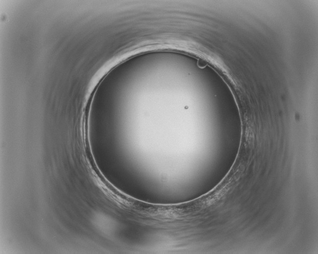 X0000060761516200511141218