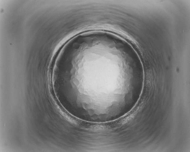 X0000060761517200511141218