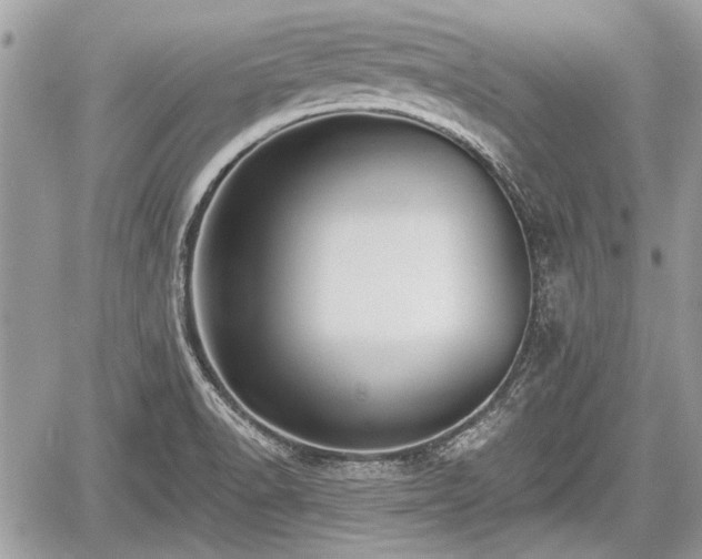 X0000060761518200511141218