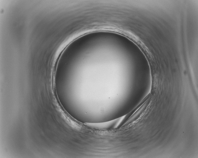 X0000060761520200511141218