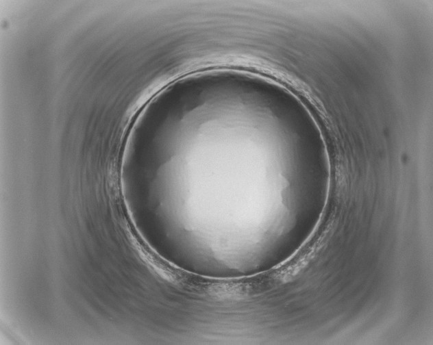 X0000060761521200511141218