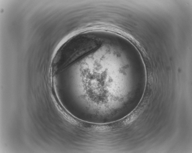 X0000060761522200511141218