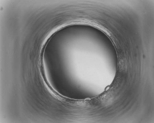 X0000060761523200511141218