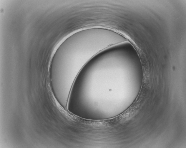 X0000060761524200511141218