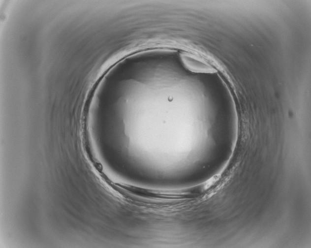 X0000060761525200511141218