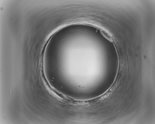 X0000060761526200511141218