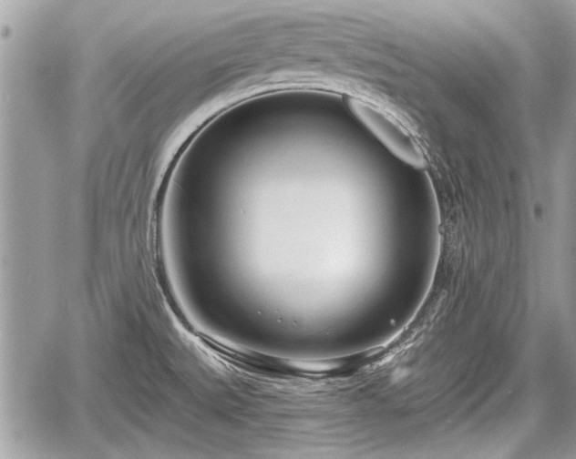 X0000060761527200511141218