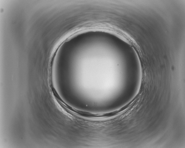 X0000060761528200511141218