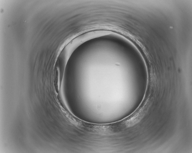 X0000060761529200511141218