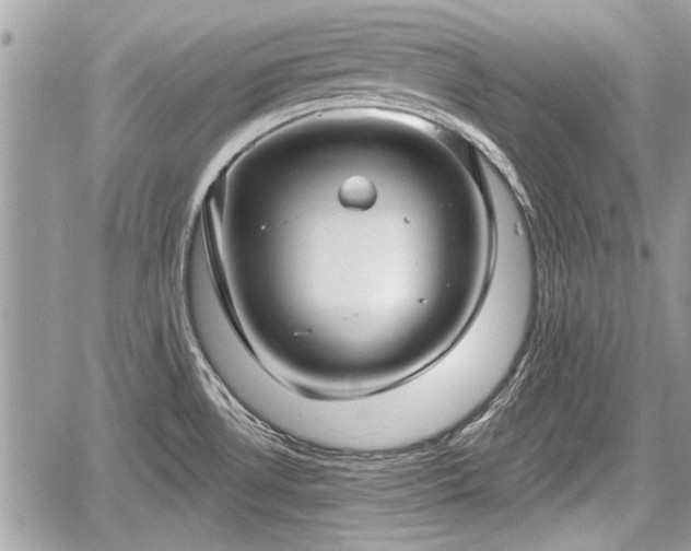 X0000060761530200511141218