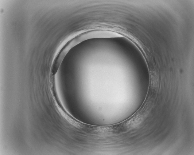 X0000060761531200511141218